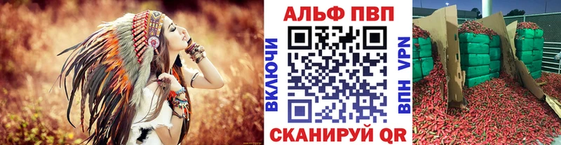 МЕГА как войти  Теберда  Alpha PVP СК  купить  цена 