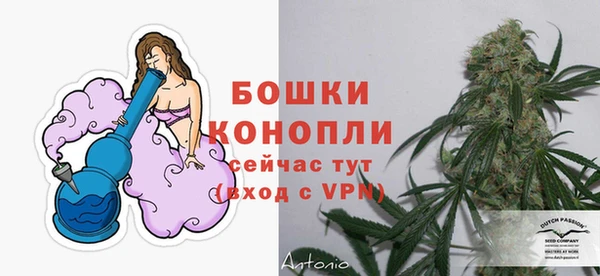дурь Дмитриев