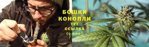 шишки Елизово