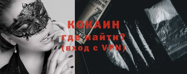 ПСИЛОЦИБИНОВЫЕ ГРИБЫ Ельня