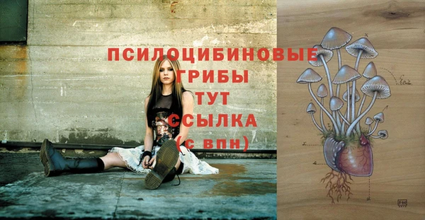 дурь Дмитриев