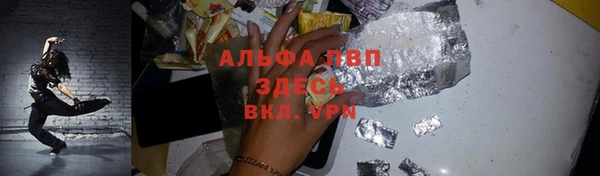 шишки Елизово