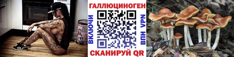 Галлюциногенные грибы GOLDEN TEACHER  Теберда 