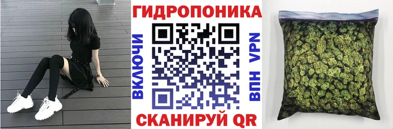 маркетплейс официальный сайт  Теберда  Бошки марихуана конопля 